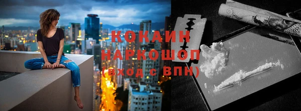дмт Елизово