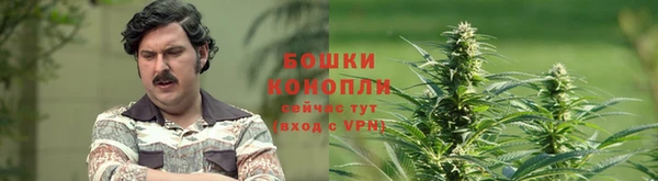 дмт Елизово