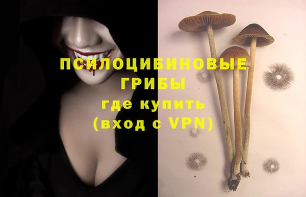 амф Елабуга