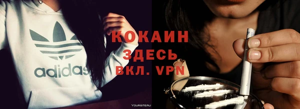 дмт Елизово