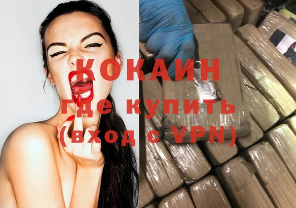 дмт Елизово