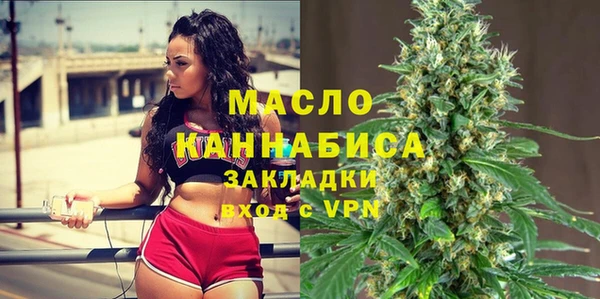 дмт Елизово