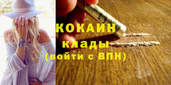 дмт Елизово