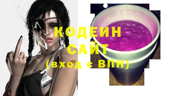дмт Елизово